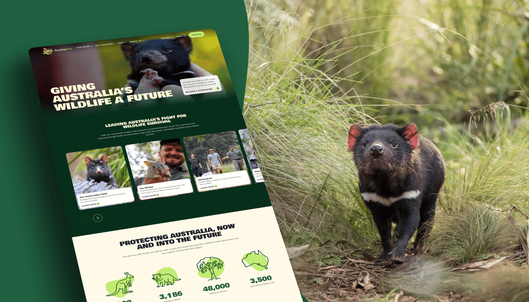 The website experience designed and built by DIJGTAL, alongside a Tasmanian Devil at Aussie Ark's sanctuary