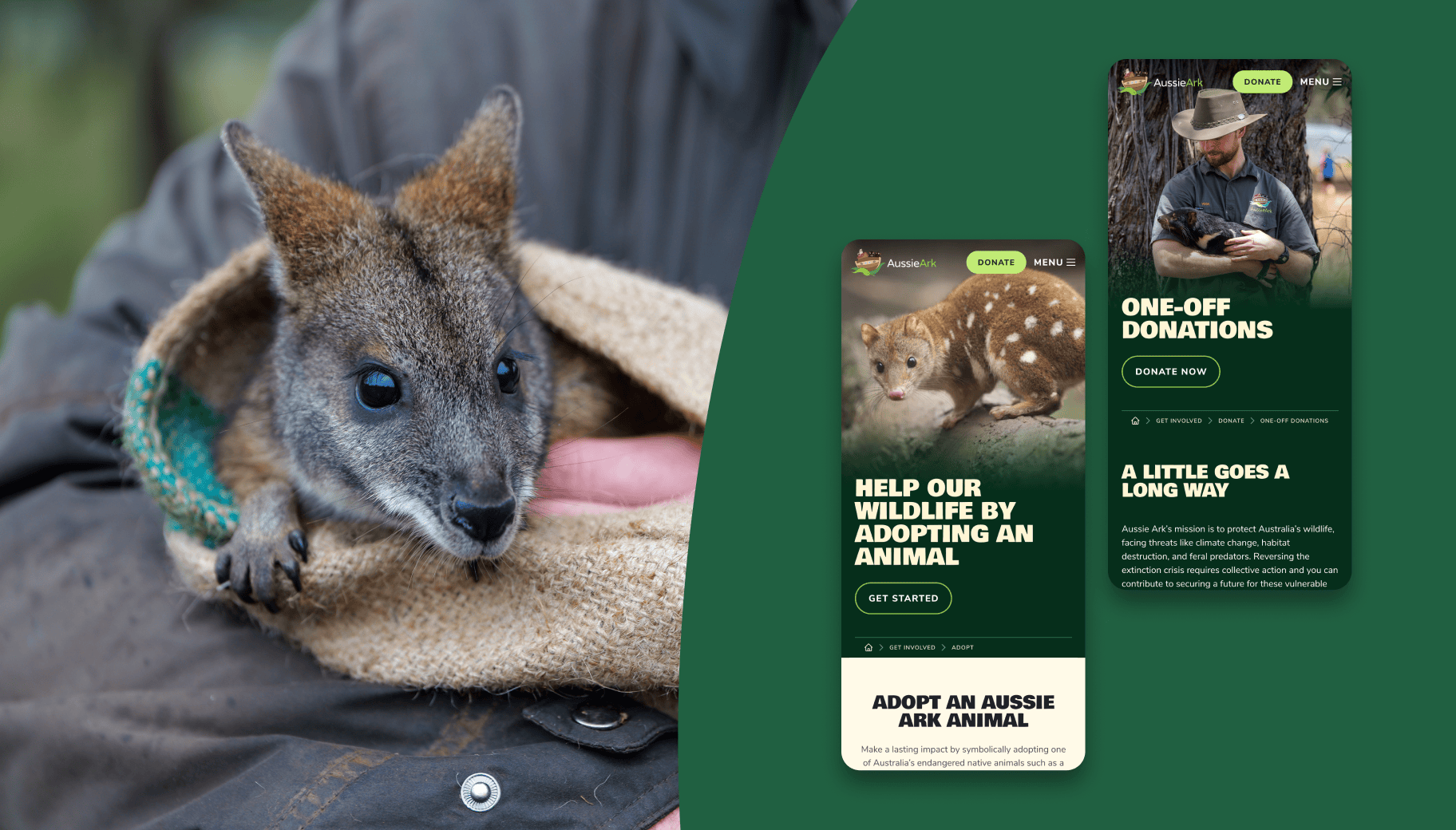 A wallaby held by an Aussie Ark staff member, alongside the website experience designed and built by DIJGTAL